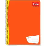 CUADERNO PROF ESCOLAR 7970 100 HS R/G SCRIBE